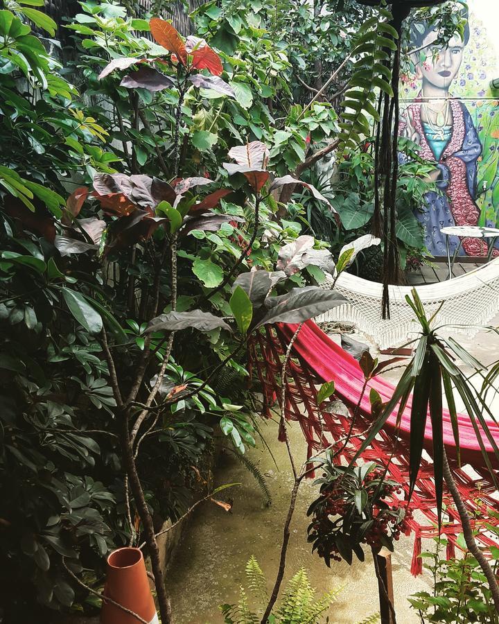 Frida Casa Hostel Pelotas Extérieur photo